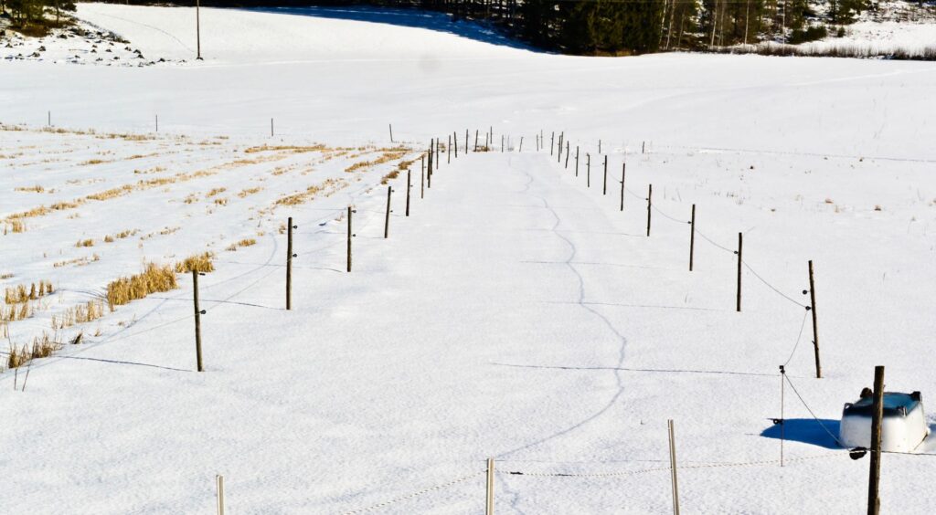 北海道滑雪場輸送帶釀悲劇 5歲男童跌倒捲入受困40分鐘不治