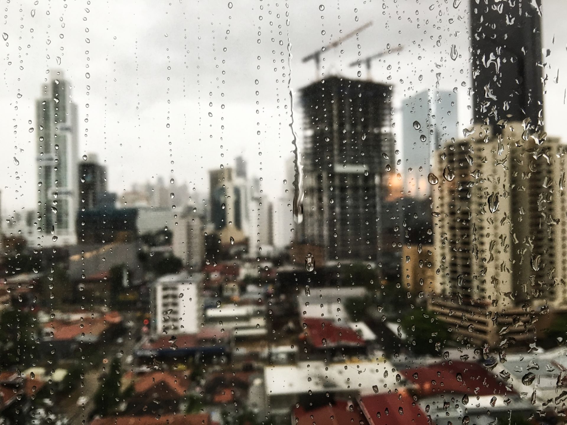 千葉12小時狂灌348毫米破紀錄 豪雨釀8死、逾7400人受困