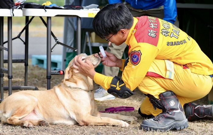 竹市搜救犬在MRT測驗情形。(圖/新竹市消防局提供)